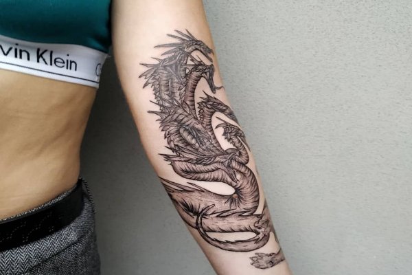 Kraken darknet зеркала