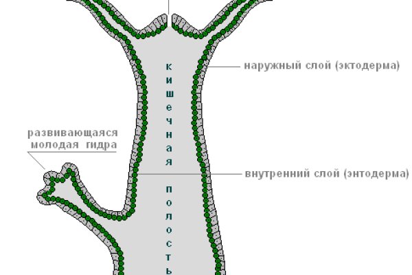 Сайты с наркотиками