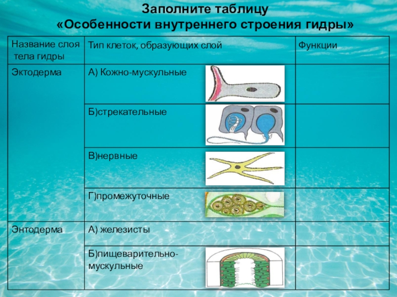 Ссылка на кракен 11